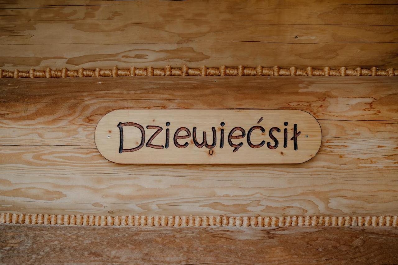 Osada Witow - Dom „Dziewiecsil” מראה חיצוני תמונה